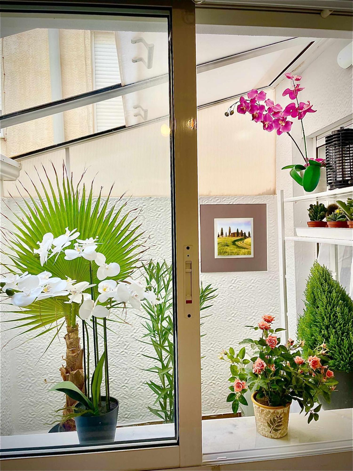 Apartamento Flamingo Gran Alacant Santa Pola Exteriör bild