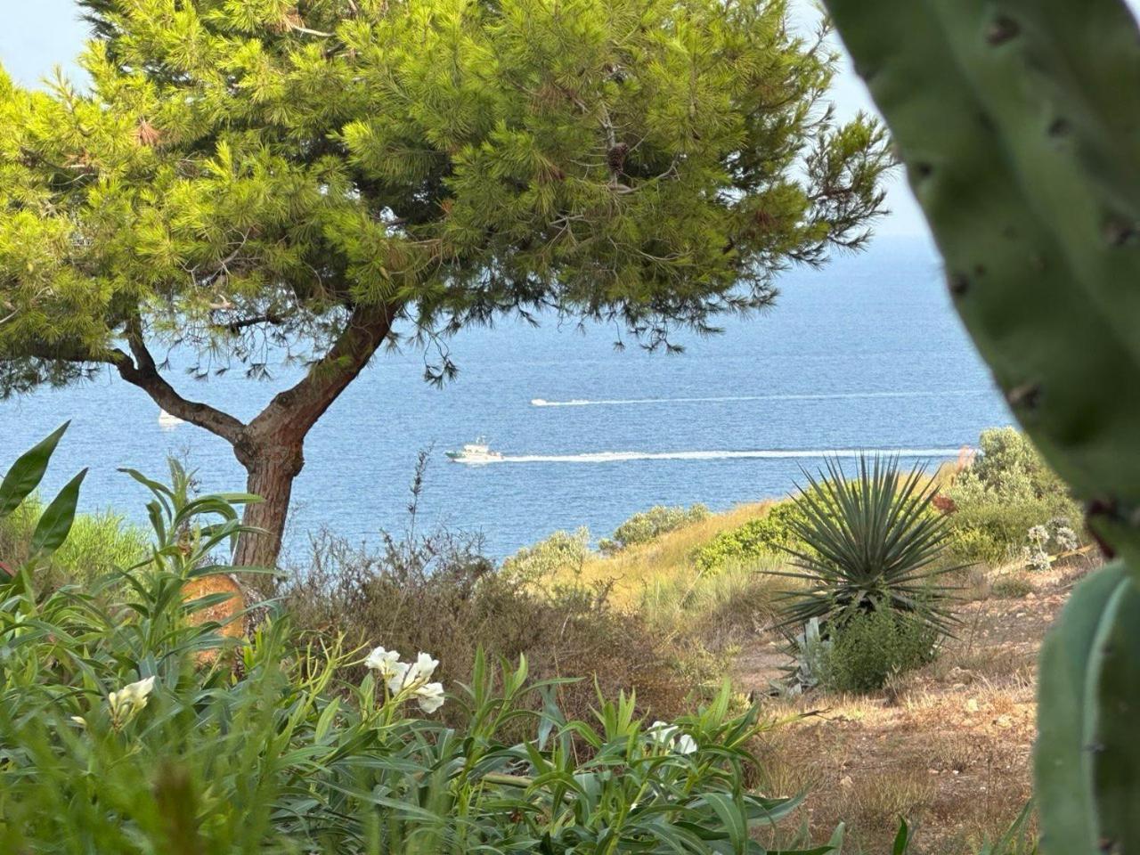 Apartamento Flamingo Gran Alacant Santa Pola Exteriör bild